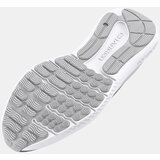 Under Armour Men's shoes Charged Surge 4 | Shoptok.si