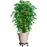 vidaXL Vozički za rastline s kolesi 5 kosov premer 40 cm črni 275 kg | Shoptok.si