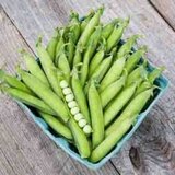 Kokopelli Bio sladkorni grah "Karina" - 80 g Cene