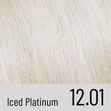 ALFAPARF MILANO Il Salone Milano Plex Rebuilder permanentna barva za lase odtenek 12.01 - Iced Platinum 1 kos | Shoptok.si