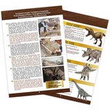 Buki France set za izkopavanje lobanje dino museum triceratops | Shoptok.si