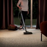 Electrolux PD82-ANIMA | Eponuda.com