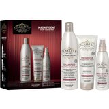 ALFAPARF MILANO Il Salone Milano Magnificent Kit poklon set za obojenu kosu | shoptok.hr