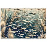  Slika - Oceanic nature 60x40 Akustična | shoptok.hr
