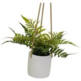 Casa Selección Umetna rastlina (višina 24 cm) – | Shoptok.si