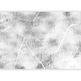 Foto tapeta - Nature in My Home - Third Variant 196x140 | shoptok.hr