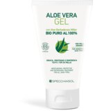 Aloe Vera GEL 100% ORGANSKI | Shoptok.si