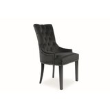Molarem Home Stolica Edward-crna | shoptok.hr