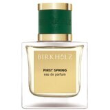 Birkholz first spring eau de parfum 100ml Cijene