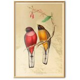  Plakat - Birds on a Branch 40x60 Zlatni okvir | shoptok.hr