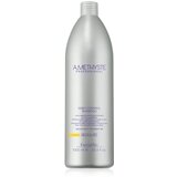  Šampon za masnu kosu Farmavita Amethyste Regulate – 1000 ml | Eponuda.ba