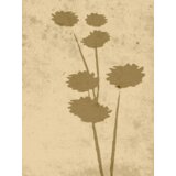 Venture Home poster Flower Art 30 × 40 cm, bež | shoptok.hr