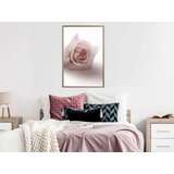  Poster - Subtle Flower 20x30 | shoptok.hr