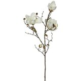  Umetna roža Magnolija (Višina: 88 cm, Bela, Plastika) Cene
