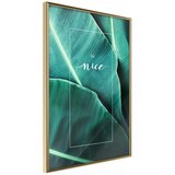  Poster - Banana Leaves with a Message (Green) 20x30 | shoptok.hr
