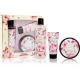 Accentra Essential Botanicals Bath Set darilni set za kopel 3 kos Cene