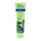 Ecodenta Pasta za Zube Protiv Plaka Blago Izbeljivanje Green line 100ml | | Ecobeauty | Eponuda.com