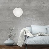 PAUL NEUHAUS 2072-55 - Luster na sajli BOLO 1xE27/60W/230V, prečnik 20 cm | Eponuda.com