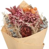 Mömax Okrasni Šopek Carmen | Shoptok.si
