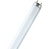 Osram Fluorescenčna sijalka Fluora (T8, nevtralno bela, 36 W, dolžina: 120 cm) | Shoptok.si