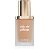 Phyto-Teint Perfection visoko prekrivni tekoči puder za posvetlitev in zgladitev kože odtenek 30 ml