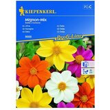 KIEPENKERL Profi-Line Cvetlična semena Dalija Mignon-Mix (Dahlia x hortensis, Različne barve) | Shoptok.si