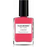 Nailberry L'Oxygnené - Smart Cookie | Shoptok.si