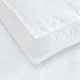Catherine Lansfield Polnilo za blazino 48x74 cm Luxury Box – | Shoptok.si