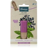 Kneipp lip care elderberry balm balzam za suhe in razpokane ustnice 4,7 g