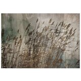  Tapeta - Water Grasses 450x315 | shoptok.hr
