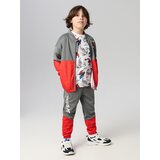 Sinsay Pamučna majica s printom Spiderman | shoptok.hr