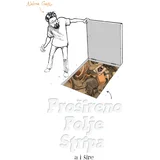 Aleksa Gajić - Prošireno polje stripa, a i šire