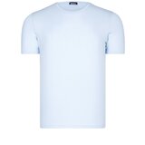 PLAIN BLUE T8569 DEWBERRY ROUND NECK MEN T-SHIRT | shoptok.hr