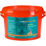 Lupo Gelenk 30 Pellets - 2700 g Cijene