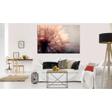  Slika - Pink Gentleness 120x80 | shoptok.hr