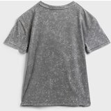 GAP Kids T-Shirt Tw Ss Tee - Boys Cijene
