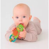 Clementoni zobna rast in ropotul | Shoptok.si
