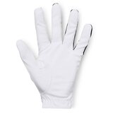 Under Armour Men's Golf Gloves Medal Golf Glove | Eponuda.ba