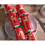 Robin Reed Božične pokalice v kompletu 6 ks Rudolph & Friends – | Shoptok.si