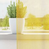 Voile zavjese s petljama 2 kom žute 140x245 cm | Shoptok.si