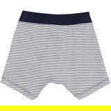 SCHIESSER Spodnjice modra / bela | Shoptok.si