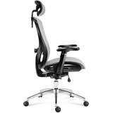  Ergonomska stolica Expert 5.3 Gray Mesh | shoptok.hr