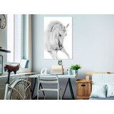  Slika - White Horse (1 Part) Vertical 80x120 | shoptok.hr