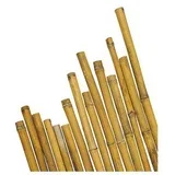 Bambus kolac 150 cm