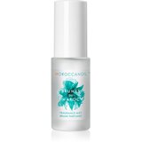 Moroccanoil Sprej za kosu i telo Brumes du Maroc, 30ml Cene