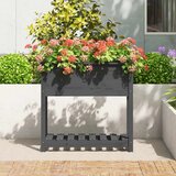  Sadilica s policom siva 82,5x34,5x81 cm od masivne borovine | Eponuda.ba