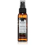 Senses Essence Rosemary & Carrot Seed osvežilec zraka 100 ml
