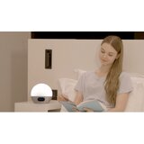 WIIM se zbudi / Sonnenaufgang silber | Shoptok.si