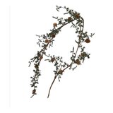 Wikholm Cedrova girlanda - 1 kos. | Shoptok.si