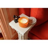Paddywax Charmed Wild Neroli di&amp;scaron;eča sveča s pokrovčkom 226 g Slike